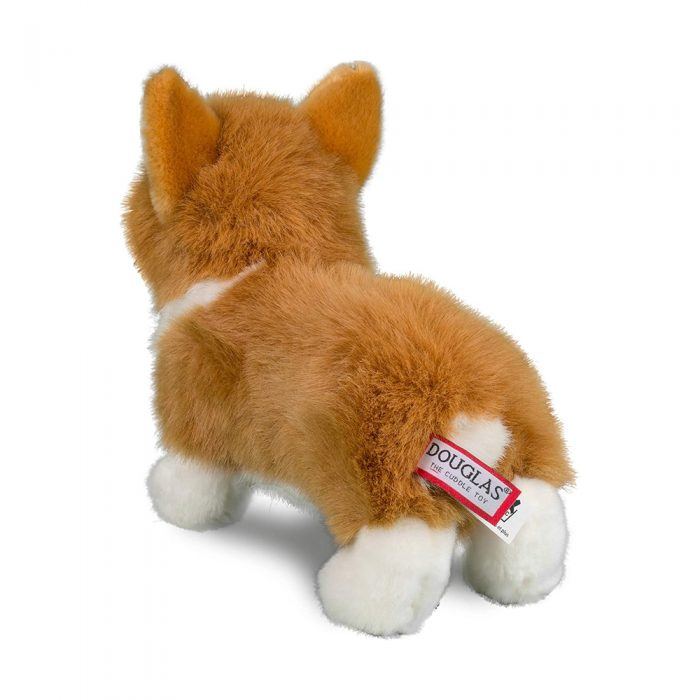 Louis Corgi