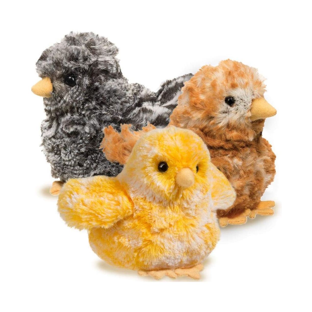 Chicks