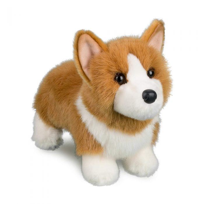 Louis Corgi