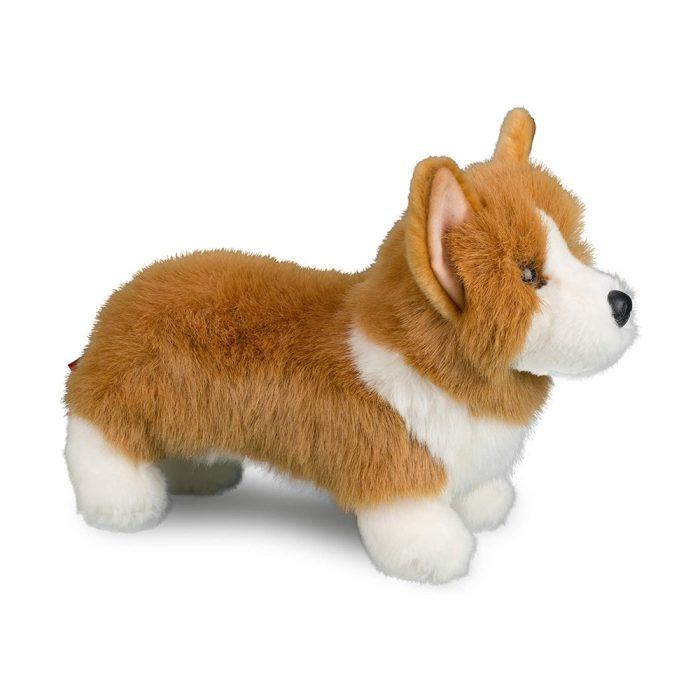 Louis Corgi