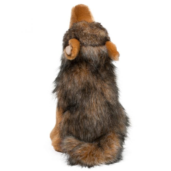 Rambler Coyote