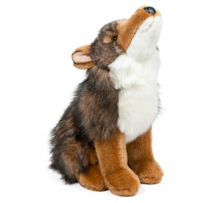 Rambler Coyote