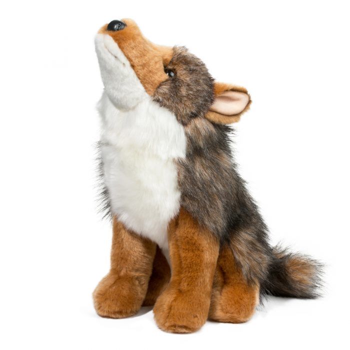 Rambler Coyote