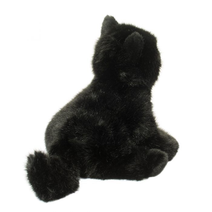 Salem Black Cat